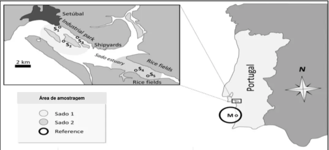 Figura 1. 3: Mapa dos pontos de recolha das amostras (Caeiro, 2013). 