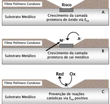 Figura 4: Esquema dos três diferentes mecanismos pelo qual a PANI pode  fornecer proteção à corrosão