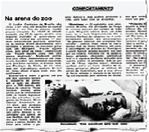 Figura 8: Revista Veja 07/09/1977 O HERÓI HOLLEMBACH.  