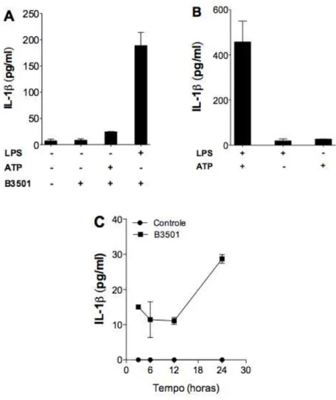 Figura 1.  C. neoformans induz a secreção de IL-1β em células primadas. (A)  Níveis de IL-1β no sobrenadante da cultura de macrófagos peritoneais após  24 horas de infecção in vitro com B3501 (MOI 3) na presença ou ausência de  LPS  (1  µg/mL)  ou  ATP  (5