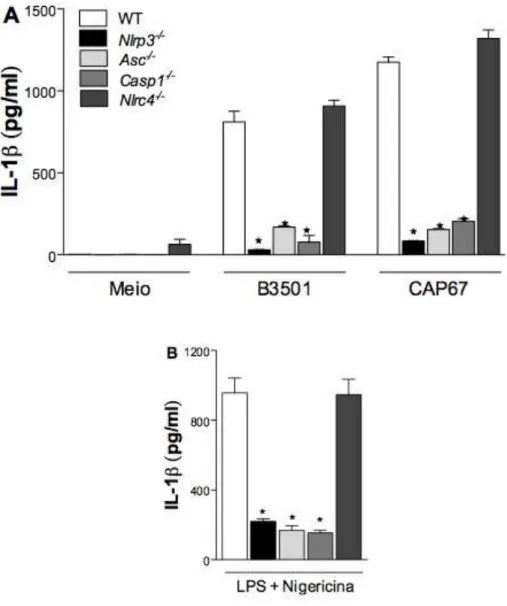 Figura 5. C. neoformans ativa o inflamassoma NLRP3. (A) Níveis de IL-1β no  sobrenadante  da  cultura  de  BMM  selvagem  (WT)  ou  knockouts  para  as  proteínas NLRP3, ASC, caspase-1 ou NLRC4 infectados com C