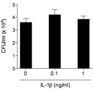 Figura  9.  A  sinalização  por  IL-1β  não  contribui  para  o  controle  da  infecção