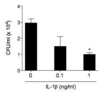 Figura  10.  IL-1β  limita  a  taxa  de  infecção  em  BMM.  BMM  selvagens  foram  infectados  com  a  linhagem  B3501  (MOI  2)  previamente  opsonizada  com  anticorpo  18B7  (10  µg/mL)  e  ao  mesmo  tempo  tratados  com  IL-1β  recombinante em difere