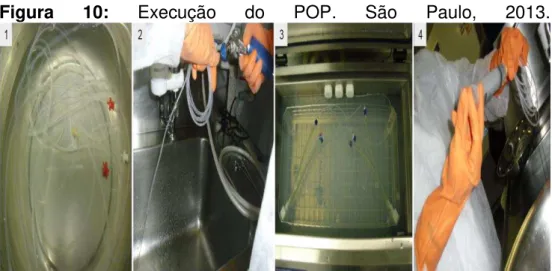 Figura  10:  Execução  do  POP.  São  Paulo,  2013. 