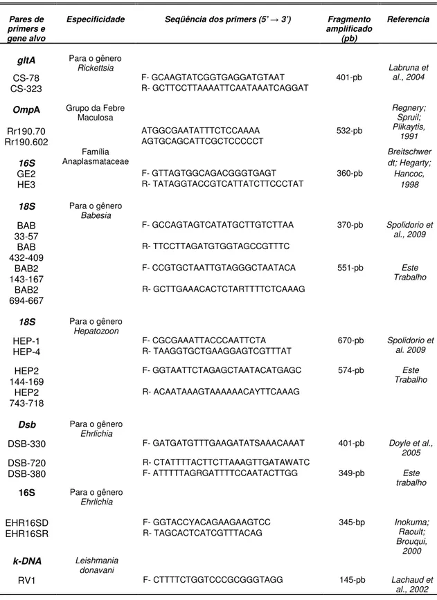 Tabela 1 - Lista de todos os primers utilizados na elaboração do projeto 