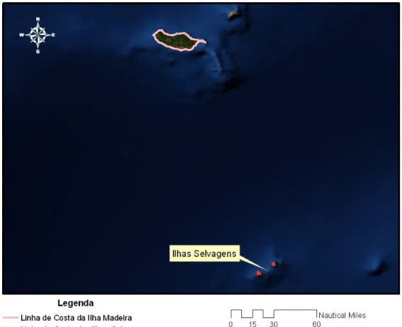 Figura 4.1 Linha de Costa da Ilha da Madeira e das Ilhas Selvagens (Fonte: ESRI) 