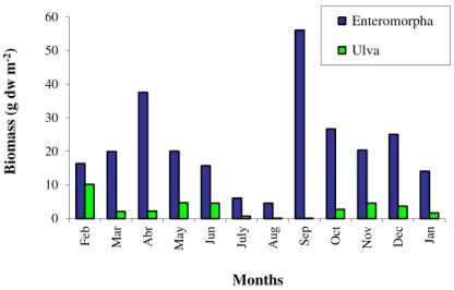 Figure 2.7 - Average monthly biomasses (g dw m -2 ) of Enteromorpha and Ulva species in the Ria Formosa  lagoon (Adapted from Aníbal, 1998)