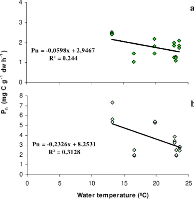 Figure 3.4 - Relationship between water temperature and net primary productivity (P n ) for Enteromorpha (a)  and Ulva (b), with the regression lines and equations