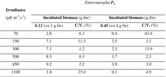 Table  3.3  –  Average  net  primary  productivity  (P n )  of  Enteromorpha  spp.  for  each  light  incubation  experiment