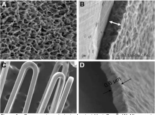 Figura  1  -  Componentes  principais  do  stent  VestaSync ® .  (A)  Microscopia  eletrônica da cobertura de hidroxiapatita, (B) corte transversal da cobertura  de hidroxiapatita, (C) plataforma metálica recoberta, e (D) corte transversal  da  cobertura  