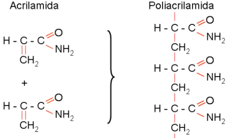 Figura 4 - Estrutura química de monômeros de acrilamida e da poliacrilamida 