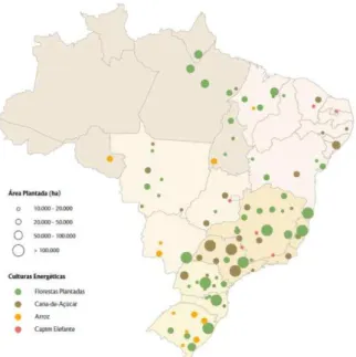 Figura 7  – Área plantada das principais culturas energéticas no Brasil  Fonte: Instituto Brasileiro de Geografia e Estatística - IBGE (2012)