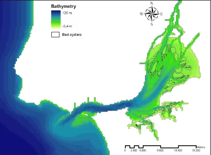 Figure 2.2 – Localization of the bed of oysters in Tagus estuary
