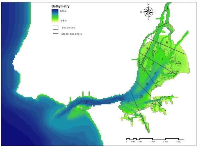 Figure 2.6 – Tagus estuary with model box division