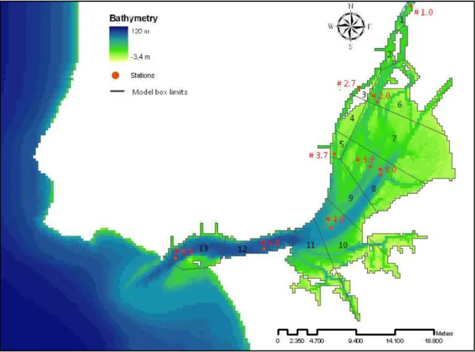 Figure 2.8 – Tagus estuary with model box limits and stations