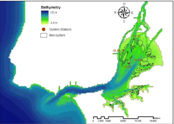 Figure 2.9 – Tagus estuary with the oysters’ stations