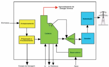 Figura 3.10. – Produção de energia através da queima directa da biomassa.  