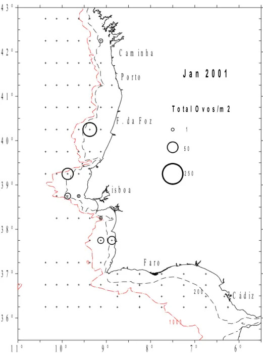 Figura 4.3 - Abundância de ovos (número total por m 2 ) em Janeiro de 2001 (rede Bongo).