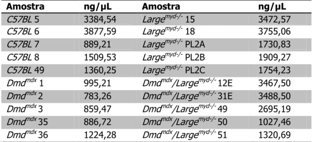 Tabela 16 - Quantificação do cRNA das amostras do grupo de animais com 6 meses 