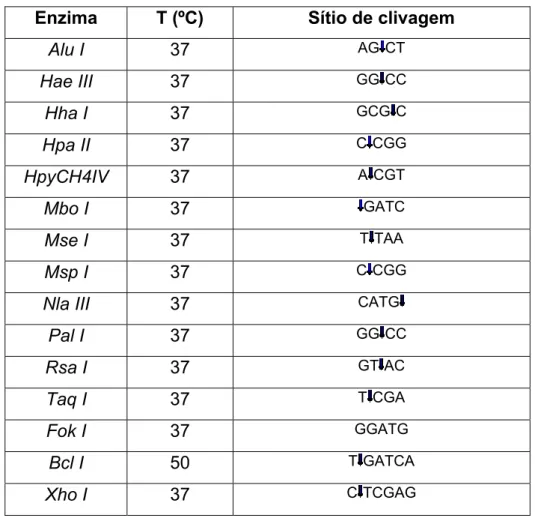 Tabela 1  – Enzimas de restrição utilizadas na busca de elementos  repetitivos no genoma de T