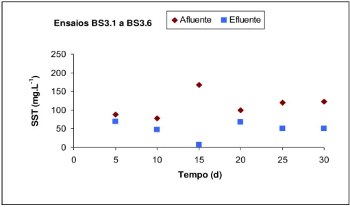 Figura 5.7 – Variação de SST à entrada e saída do leito na Série BS3 