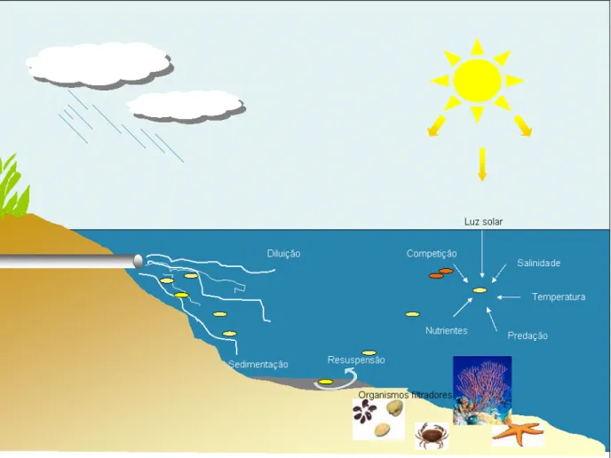 Figura 2.1. – Esquema representativo dos factores a que as bactérias coliformes estão sujeitas  quando são lançadas em ambiente marinho