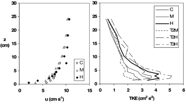 Figure 3.4 –  Cerastoderma edule  effect in the BBL. Average velocity profiles (u, cm s -1 , U of 