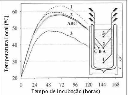 Figura 3.1: Verificação da existência de um gradiente de temperatura no interior do Dewar (Weppen, 2002)