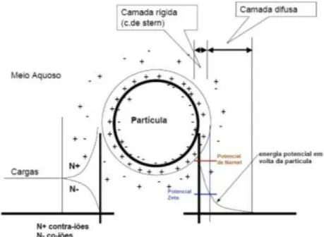 Figura 1.8. Teoria da dupla camada (Almeida, 2007) 