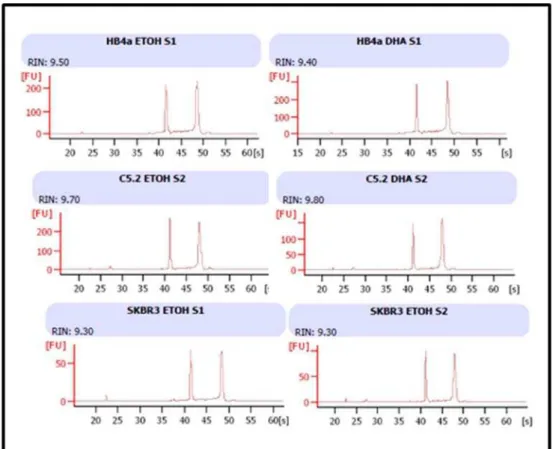 Figura 4: Análise da integridade do RNA total utilizando o Bioanalyser. 