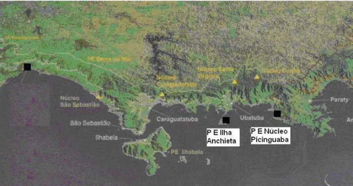 Figura 1 - Localização das áreas de estudo no Litoral Norte do Estado de São Paulo (adaptação da imagem de  satélite,  p.31, Conhecer para Conservar: as Unidades de Conservação do Estado de São Paulo, 1999) 