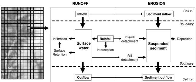 Figure 3.5 – Processes simulated by the model within each cell and at the boundaries between  grid cells