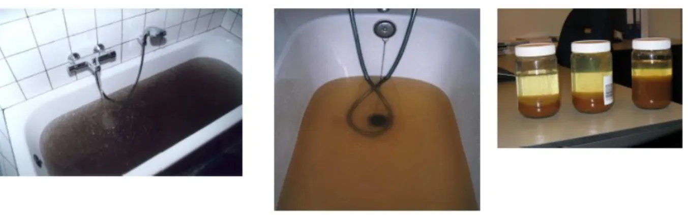 Fig. 1-1 Examples of discoloured waters [Vreeburg, 2007]