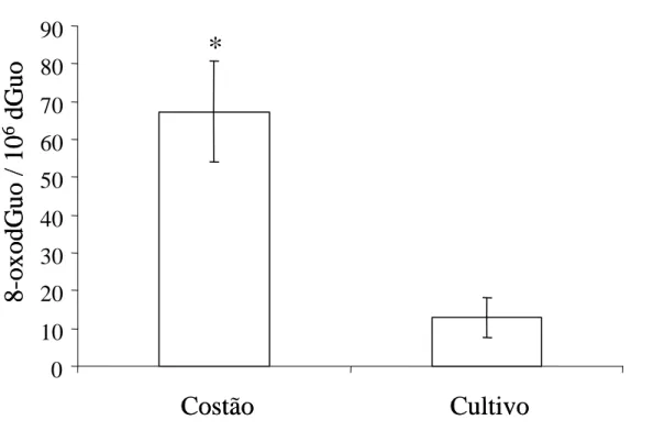 Figura 4.5. – Níveis de 8-oxodGuo em glândulas digestivas de mexilhões P. perna de costão  rochoso e de cultivo