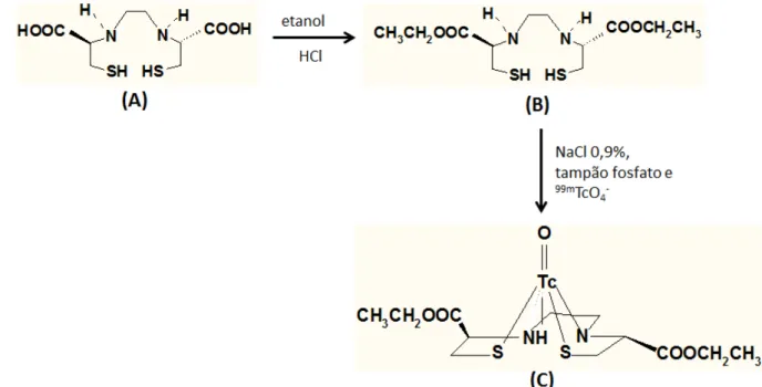 FIGURA 7- Obtenção do radiofármaco ECD- 99m Tc. A reação de esterificação  de  EC  (A)  com  etanol  em  meio  de  HCl  origina  o  ECD  (B)