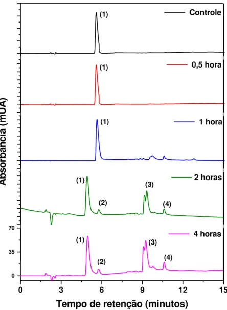 FIGURA  25-  Cromatogramas  de  DMSA  1  mg  mL -1   obtidos  após  hidrólise  alcalina  com  NaOH  0,1  mol  L -1 