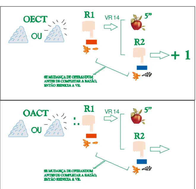 Figura  2:  diagrama  da  contingência  de  estabelecimento  da  operação  estabelecedora  condicionada transitiva (OECT) e operação abolidora condicionada transitiva (OACT)  para o grupo 1 de participantes