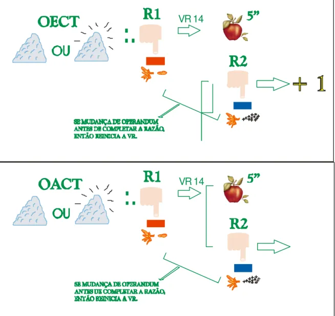 Figura  4:  diagrama  da  contingência  de  estabelecimento  da  operação  estabelecedora  condicionada transitiva (OECT) e operação abolidora condicionada transitiva (OACT)  para o grupo 3 de participantes