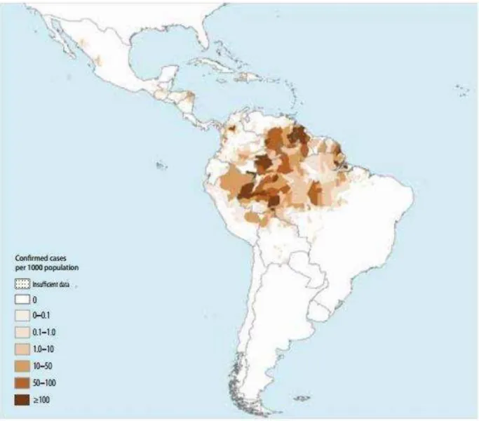 Figura 2. Perfil epidemiológico da malária no Brasil. A região da Amazônia Legal corresponde a 99,8% dos  casos no país