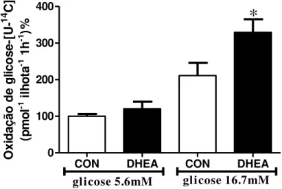 Figura 12 - Atividade da citrato sintase (400 ilhotas) dos grupos controle (CON) e tratados  com DHEA (DHEA)