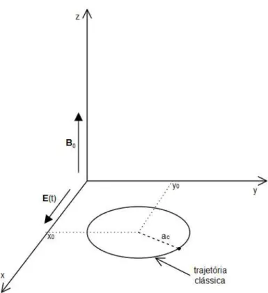 Figura 4: Orienta¸c˜ao dos campos externos.