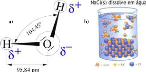 Figura 2 – Processo de solvatação. a) angulação da molécula de água; b) cloreto de  sódio dissociado em água [20]