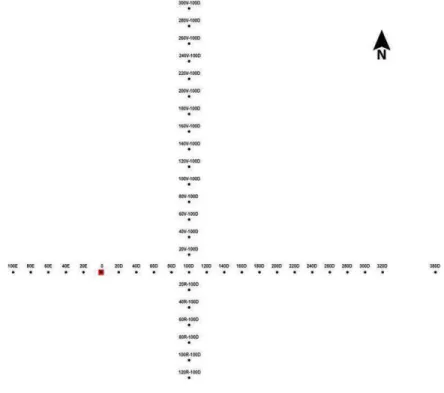 Fig. 16 Transects onde foram realizadas coletas para análise do solo. 