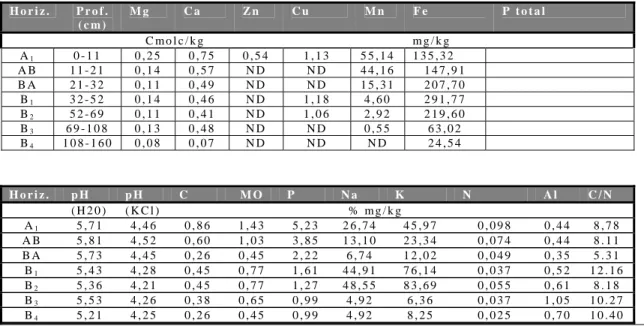 Tabela 2.3.2.  Análises químicas no perfil de solo da área adjacente (quadra 160V-180D) ao sítio Cavalo  Branco
