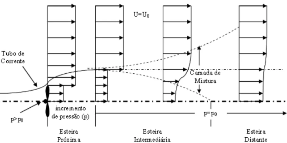 Figura 3.6: Perfil da esteira próxima (Wenzel, 2010). 