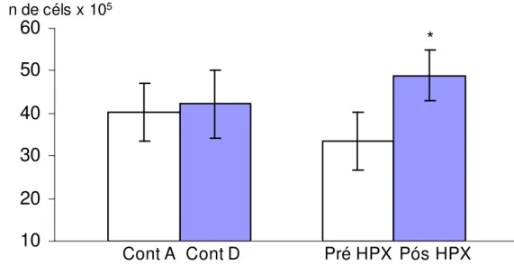 Figura 8:  Efeito  da  hipóxia  aguda  sobre  a  contagem  de  células polimorfonucleares  em  voluntários  antes  (pré  HPX)  e  após  a hipóxia  (pós  HPX)  e  seus  controles  (Cont  A  e  Cont  D)  (em número de células x 10 5 ) (n=16)