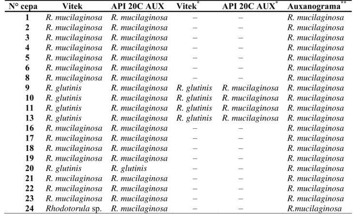 TABELA 8 -  Identificação da espécie de 20 cepas de Rhodotorula isoladas de hemocultura de  acordo com método utilizado - HC-FMUSP – janeiro de 1996 a dezembro de 2004  N° cepa  Vitek  API 20C AUX  Vitek * API 20C AUX * Auxanograma **