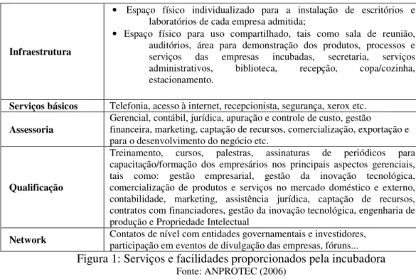 Figura 1: Serviços e facilidades proporcionados pela incubadora  Fonte: ANPROTEC (2006) 