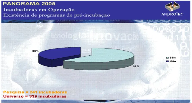 Figura 10: Programas de pré-incubação (2005)                                                            Fonte: Panorama ANPROTEC (2005) 