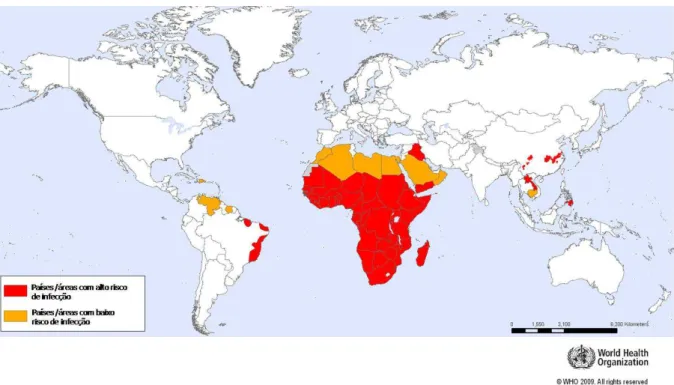 Figura  1  – Mapeamento dos países/áreas com risco de infecção por  Schistosoma  Fonte: WHO, 2009 
